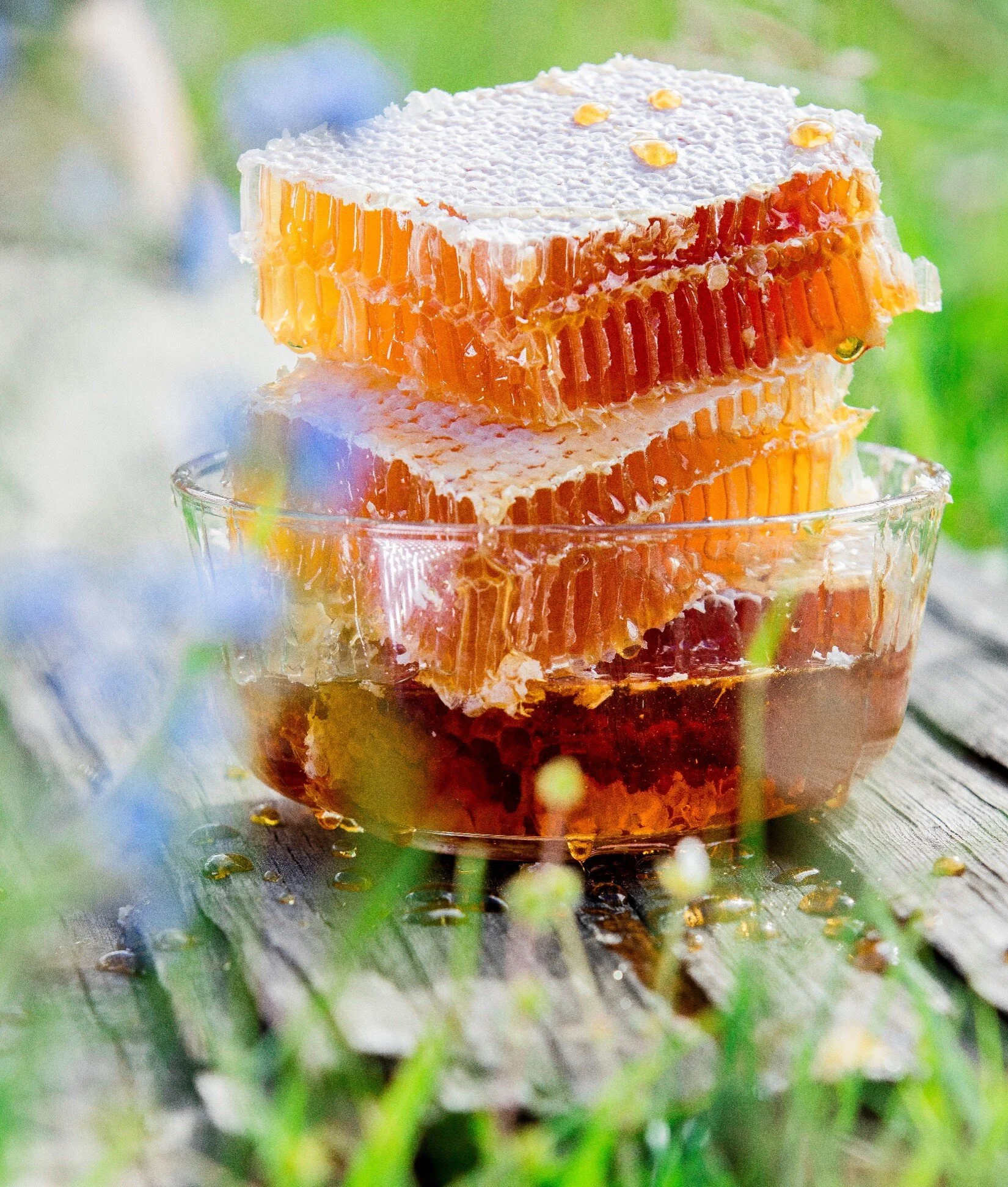 Photo courtesy of Elevated Honey Co